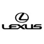 Lexus (1) (1)